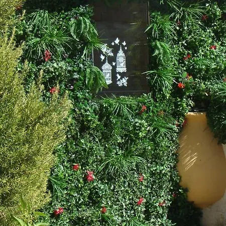 La Colline D'hote * Menton